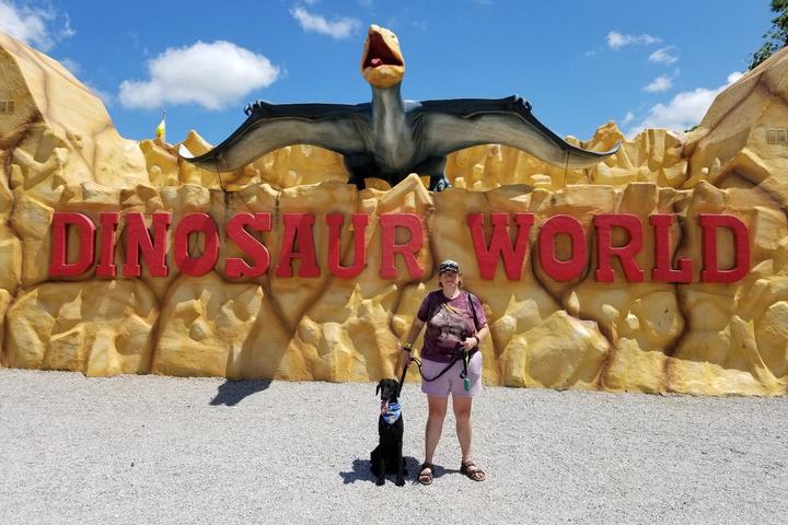 Dog-Friendly Amusement Parks