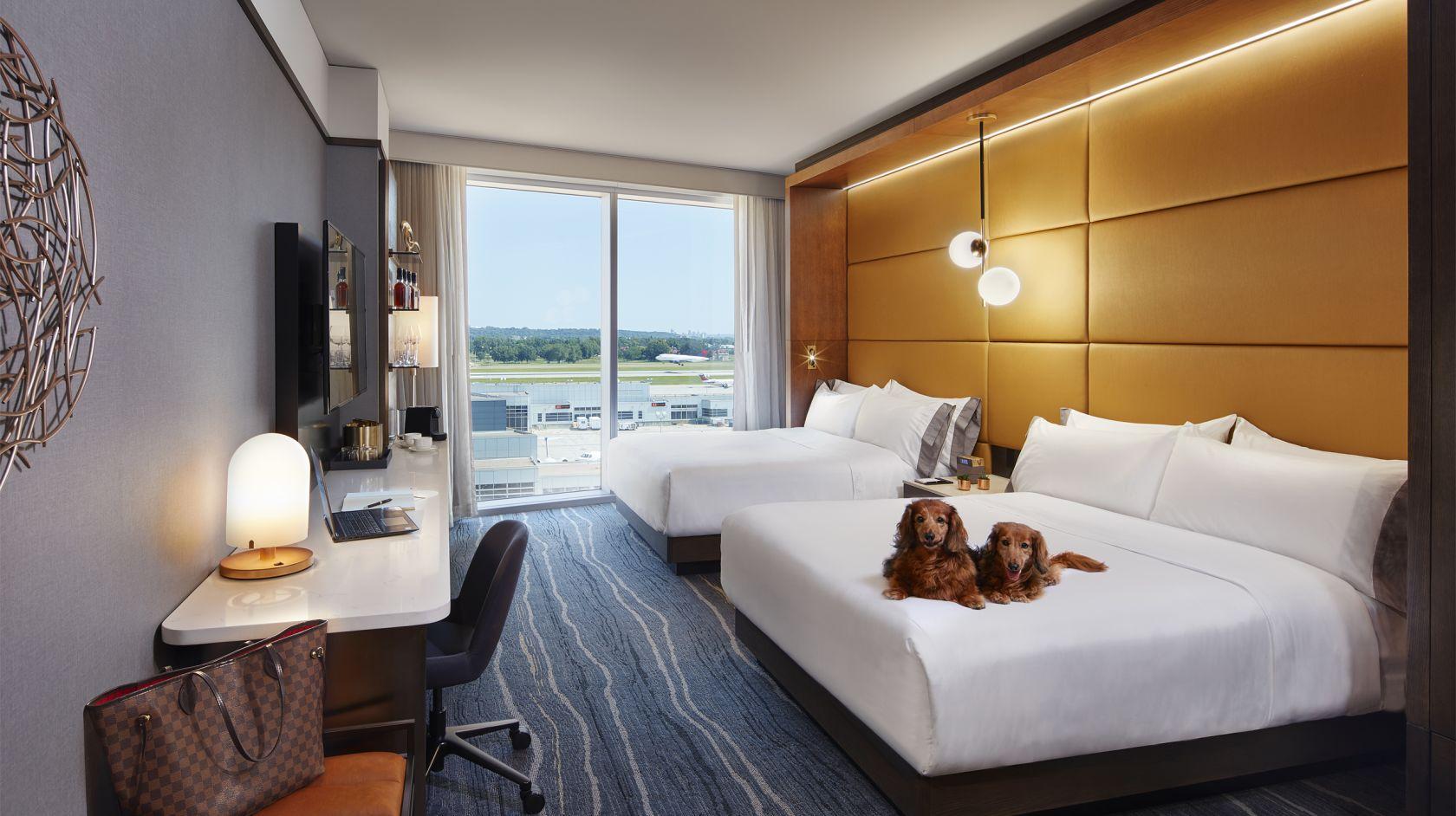 Airport Hotels That Welcome Pets