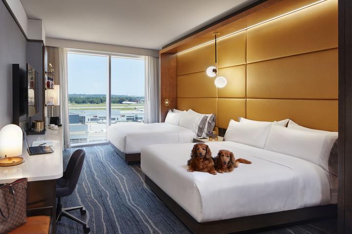 Airport Hotels That Welcome Pets