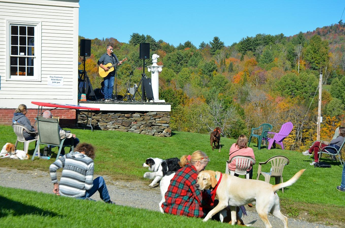 Live Music Venues