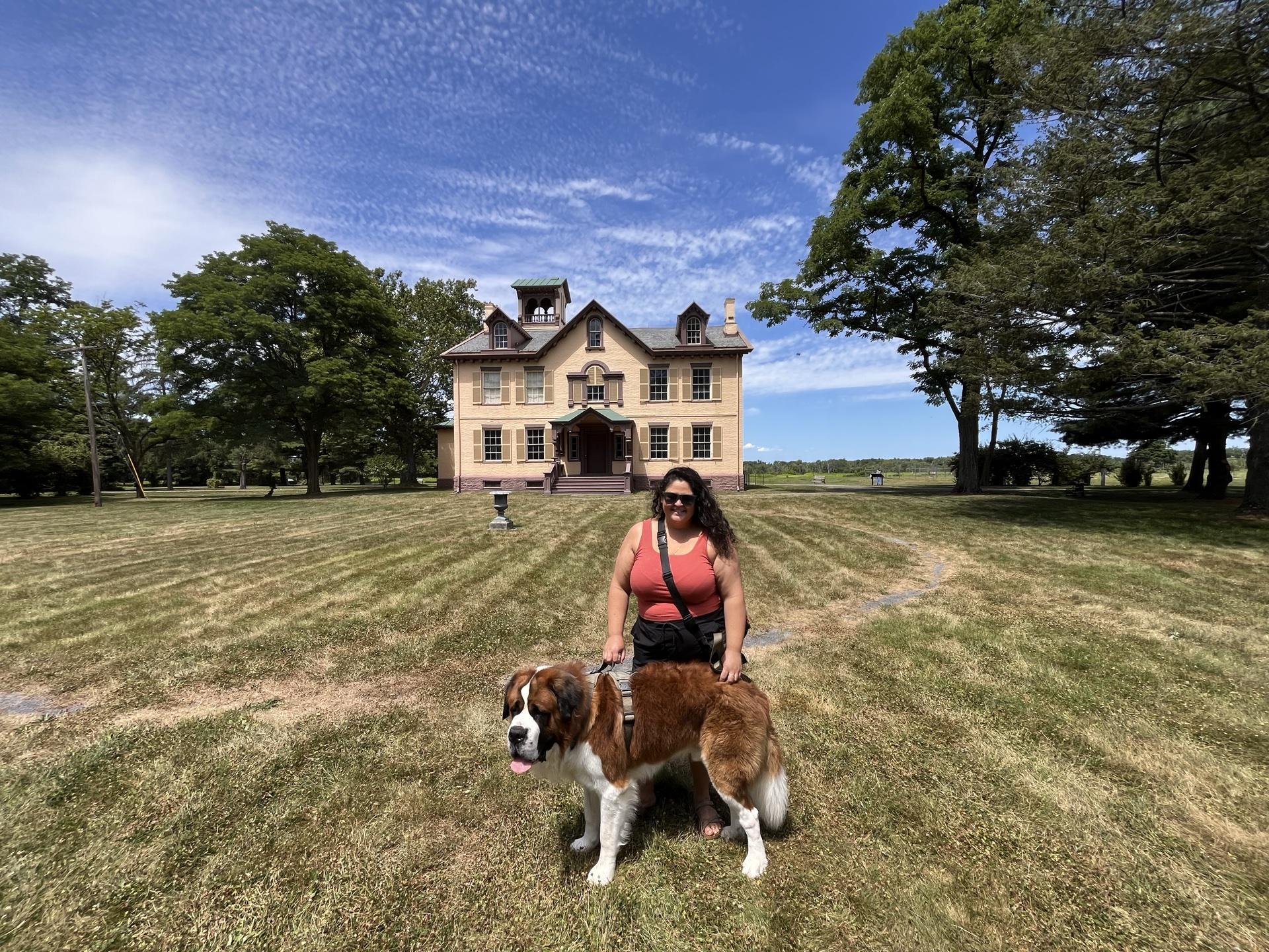 Travelling from US to Nassau With Dog: Ultimate Pet Travel Guide