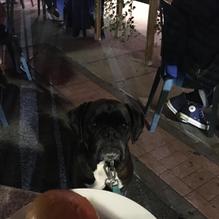 Lazy Boy Saloon restaurant view 1