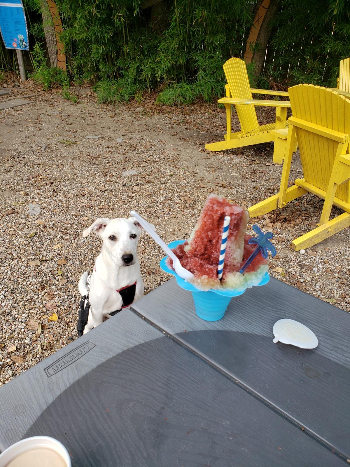 Image of Kahuna Joe's Hawaiian Shave Ice