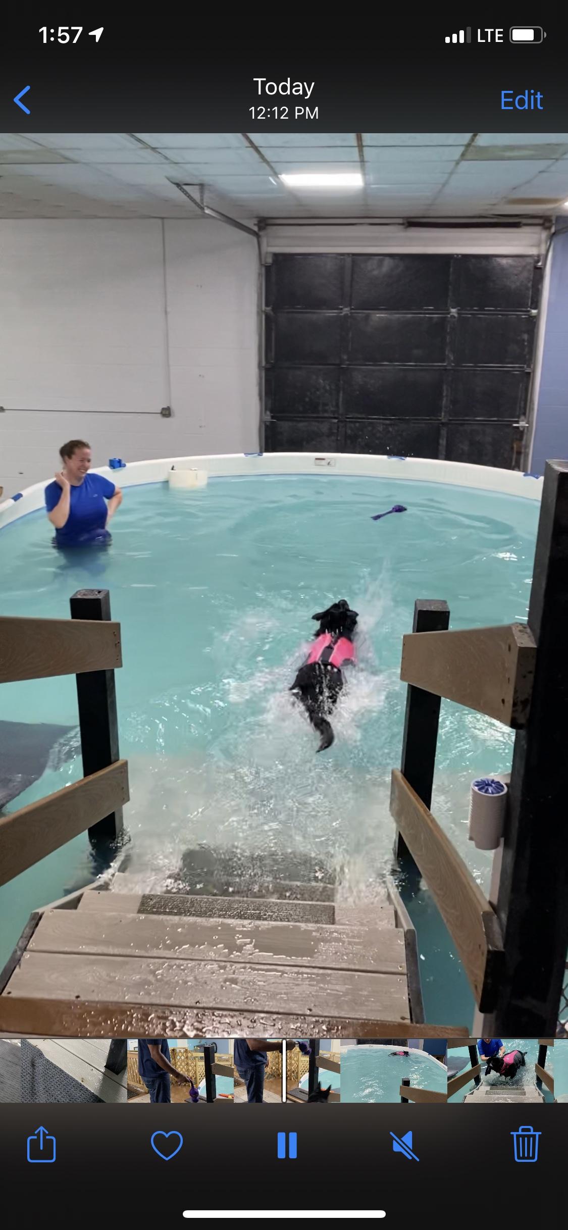 sc splash pools on Wag N Splash