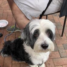 The Station restaurant view 2