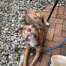 The Station restaurant view 1