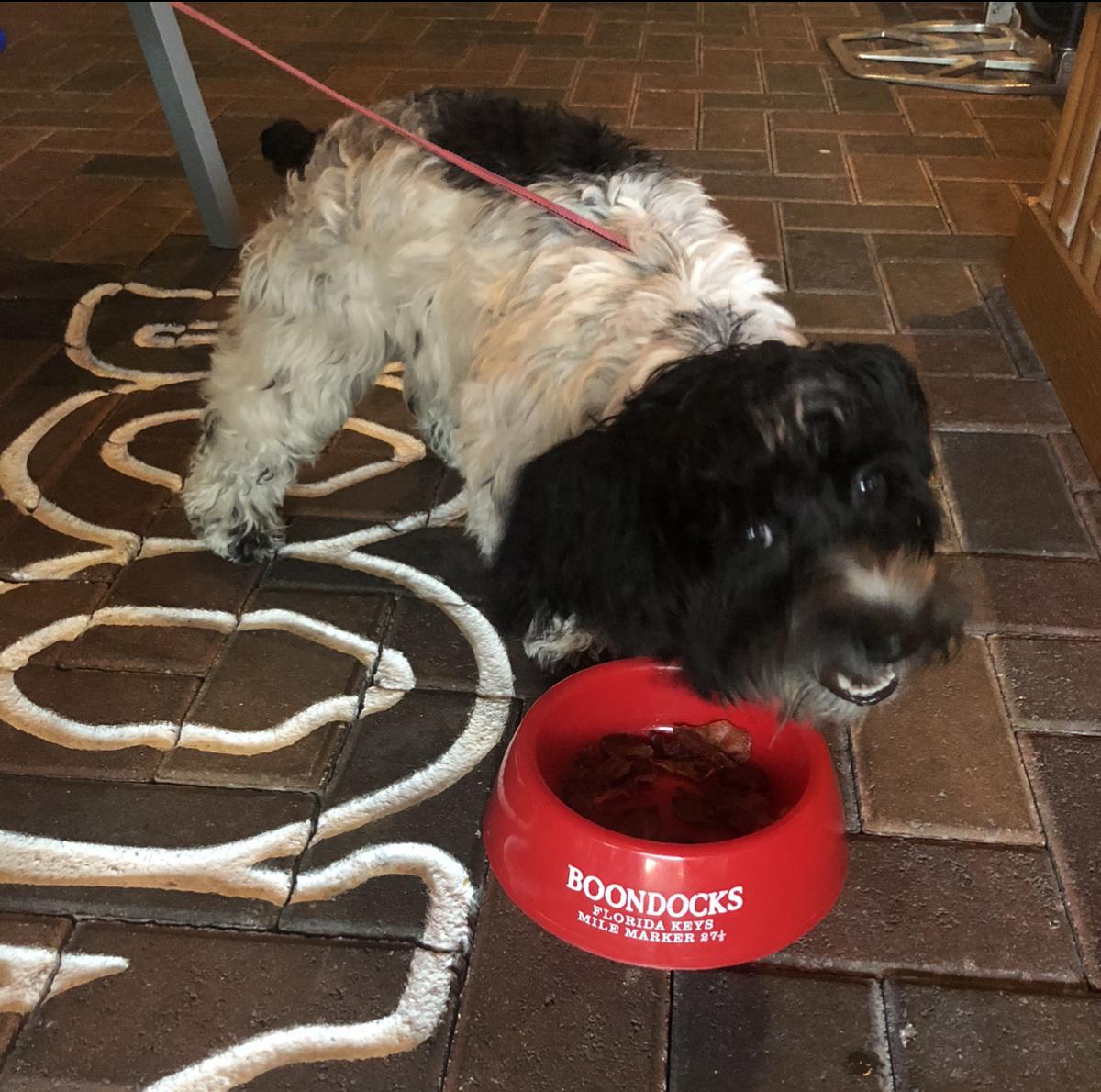 Boondocks Grille & Draft House restaurant view 3