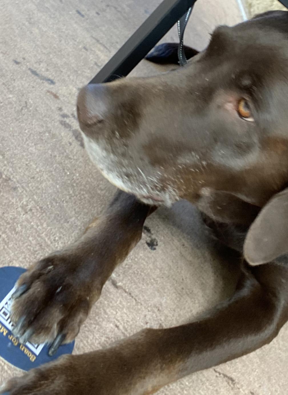 BoomerJack's Grill & Bar West 7th restaurant view 1