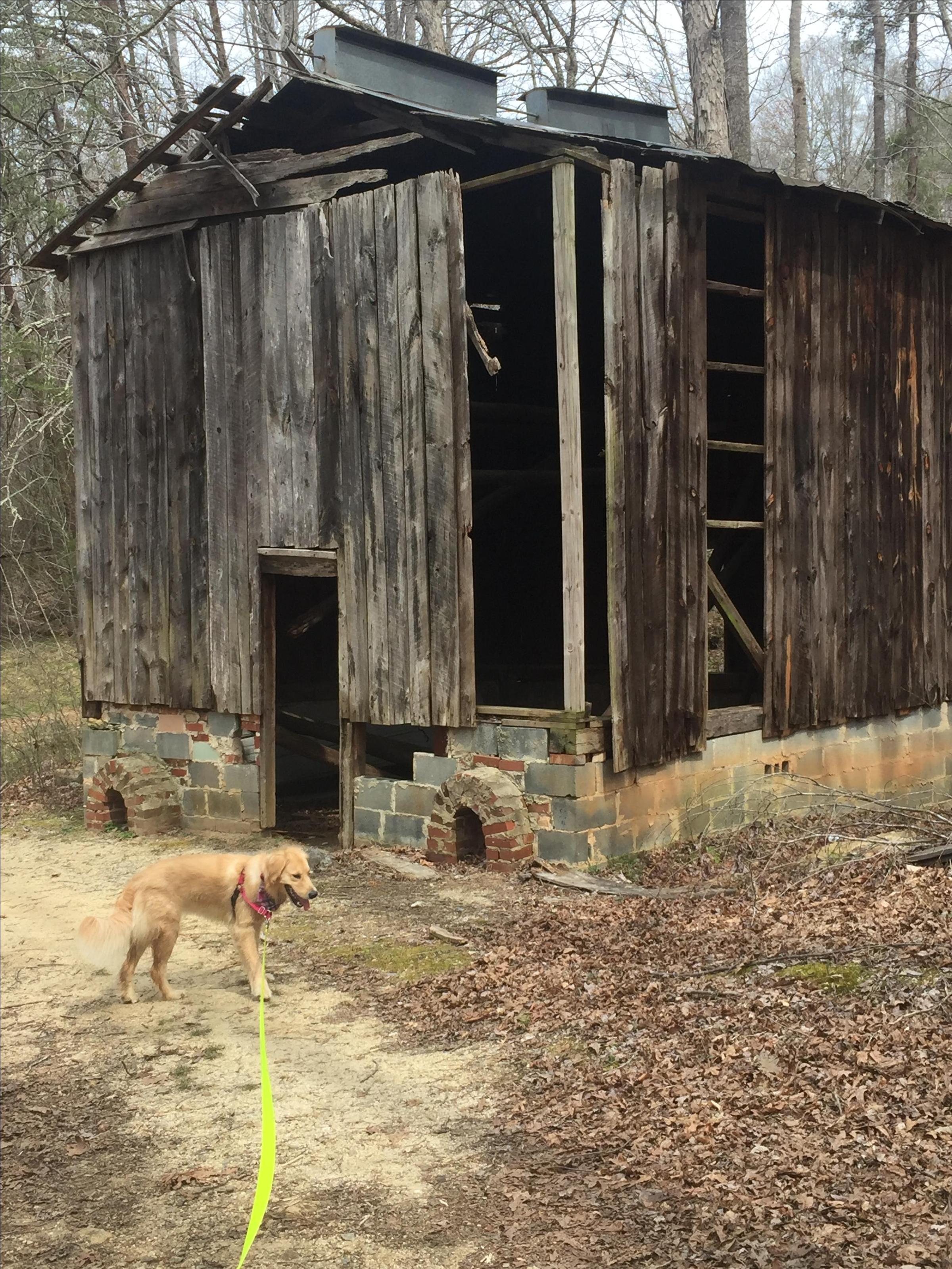 Pet Friendly Nelson Acres