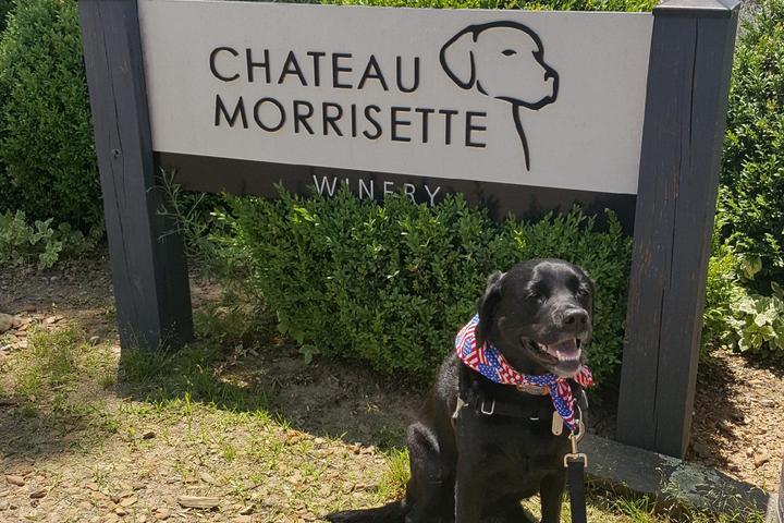 Pet Friendly Chateau Morrisette Winery