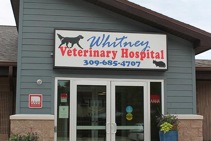 Pet Friendly Whitney Veterinary Hospital