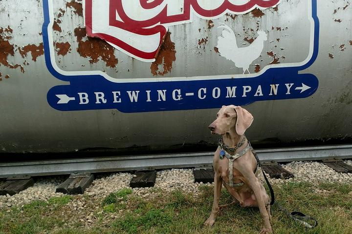 Pet Friendly Lena Brewing Company