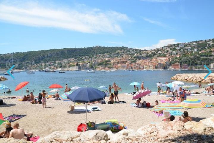 Dog Friendly France Bringfido