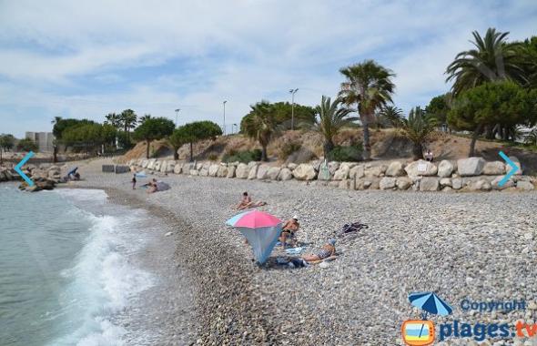 are dogs allowed on the beach in france