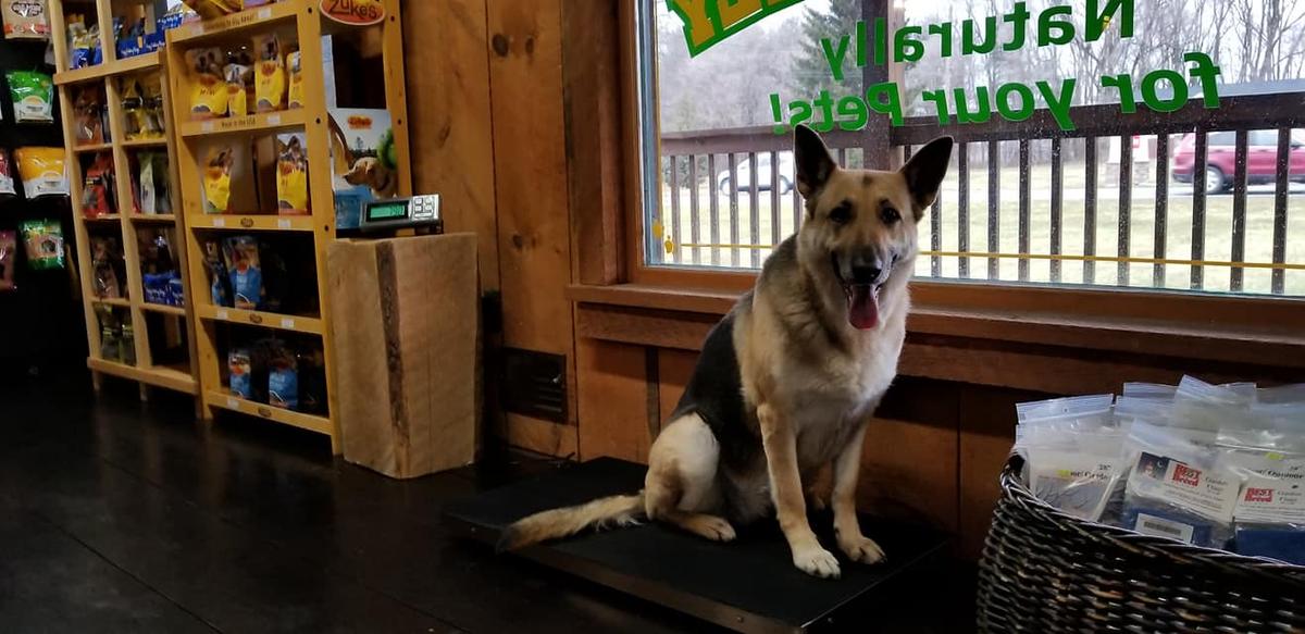 Directory of Pet Stores in Sparta Township NJ BringFido