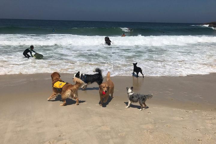 Pet Friendly Praia Do Diabo