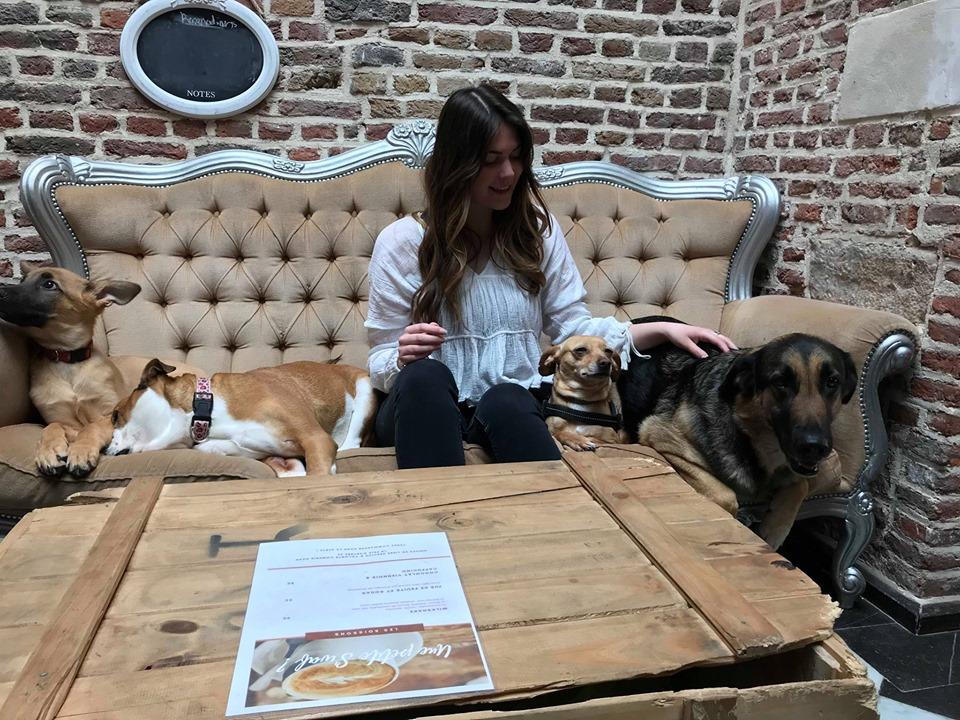Pet Friendly Le Waf Cafe Chiens
