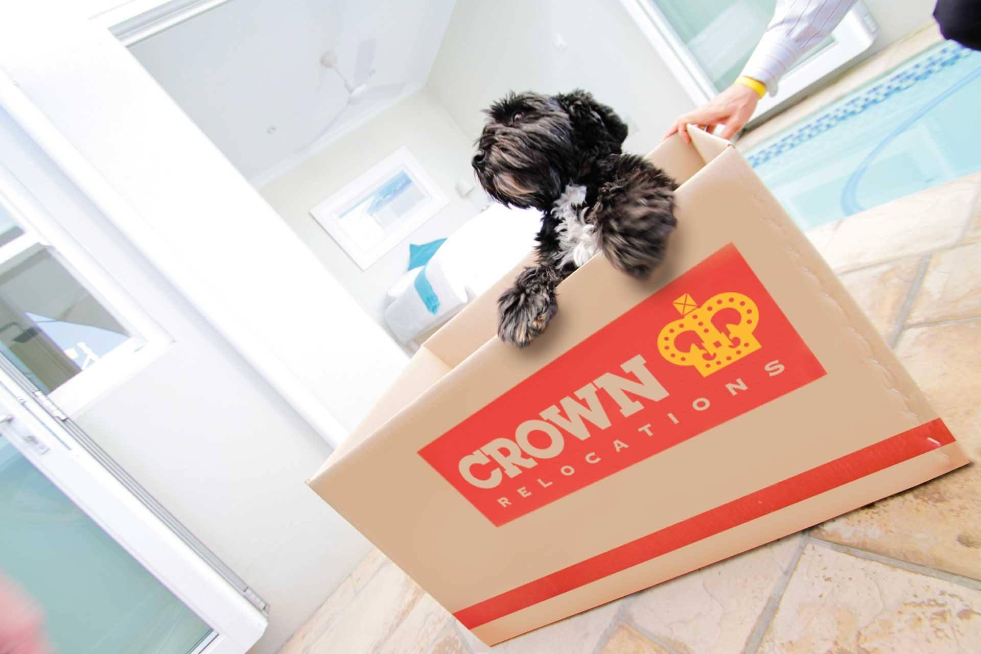Pet Friendly Crown Relocations