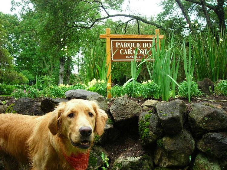 Pet Friendly Caracol Park
