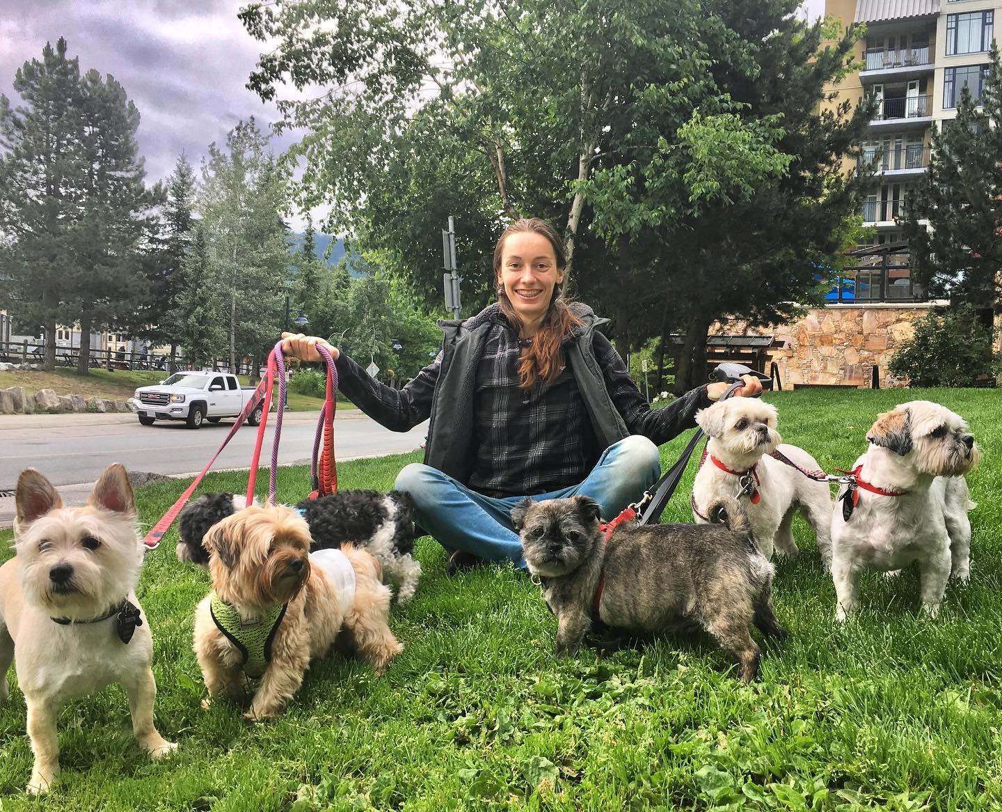 Pet Friendly Whistler Dog Sitting and Dog Walkers
