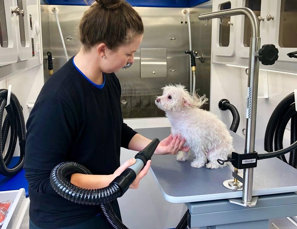 Pet Friendly Primped Pooches Mobile Dog Spa