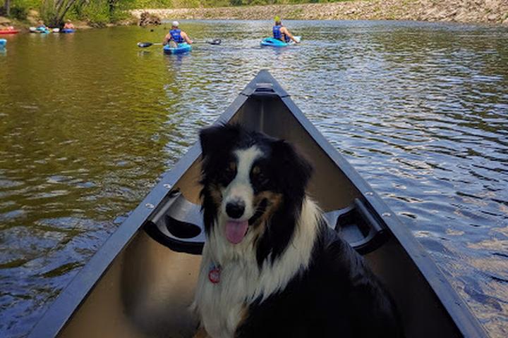 Pet Friendly Saco Canoe Rentals Company