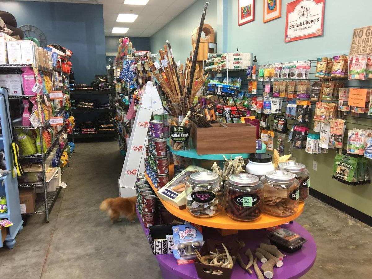 Directory of Pet Stores in Mount Pleasant SC BringFido