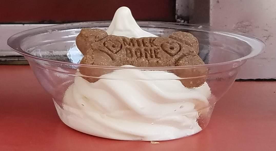 Dairy Delite Is Pet Friendly