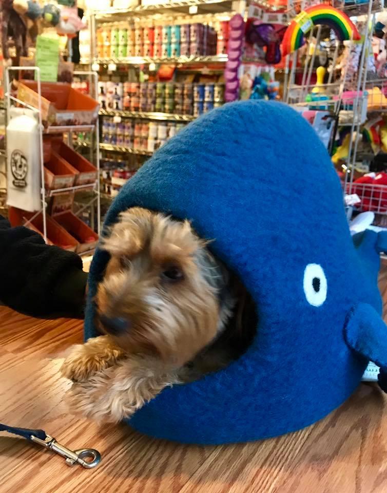 Woofstock Pet Supply