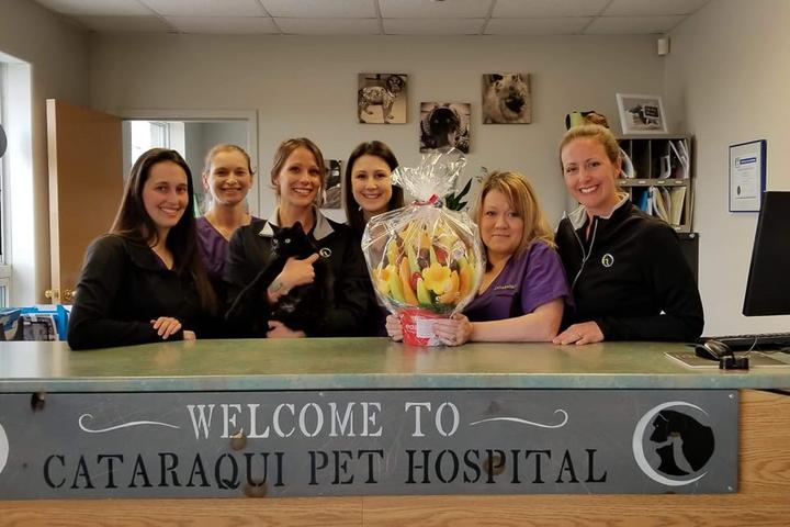 Pet Friendly Cataraqui Pet Hospital