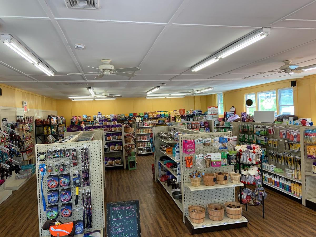 Directory of Pet Stores in Exeter NH BringFido