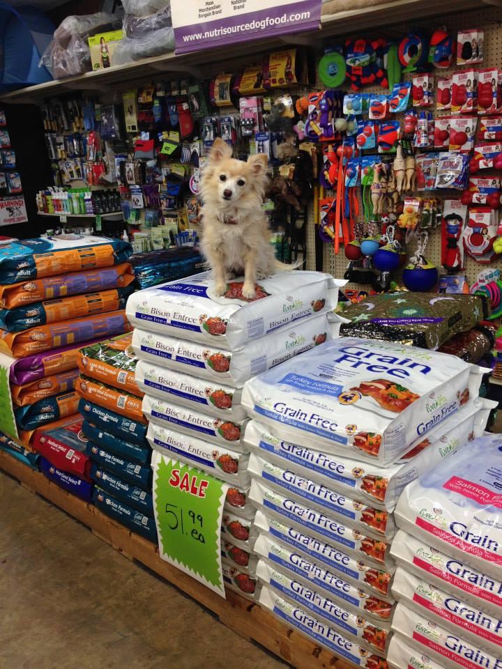 Wesco Pet Supplies