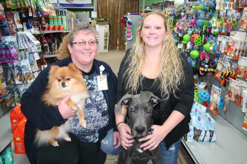 Pet Friendly The Wild Indoors Pet Supplies and More