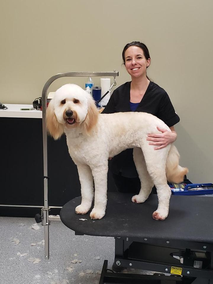 bark avenue holistic pet supplies
