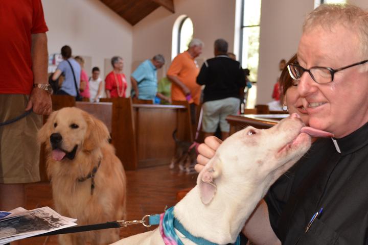 Pet Friendly Blessing of the Animals Celebration