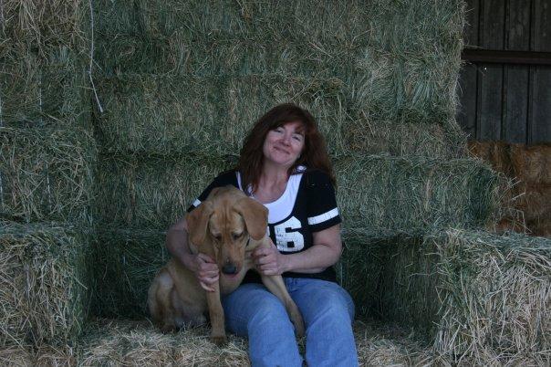 Directory Of Pet Businesses In Sonoma Ca Bringfido