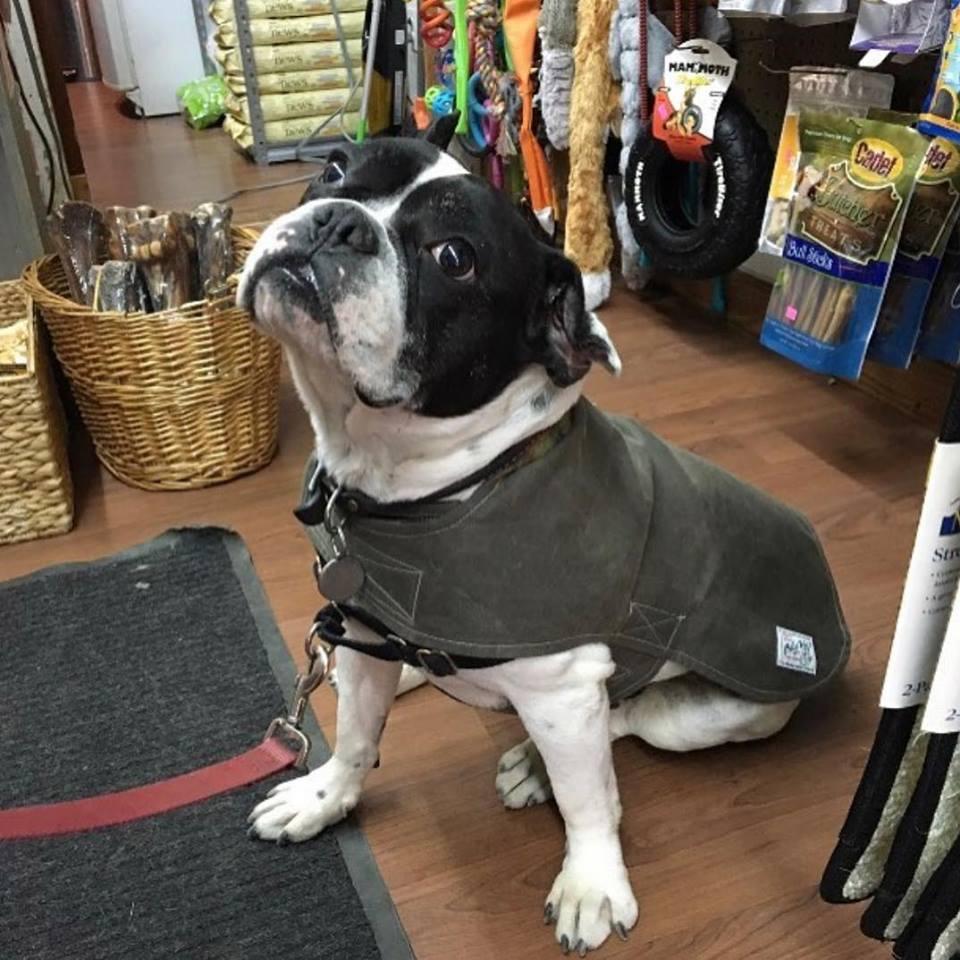 Bushwick Bark Knickerbocker Store