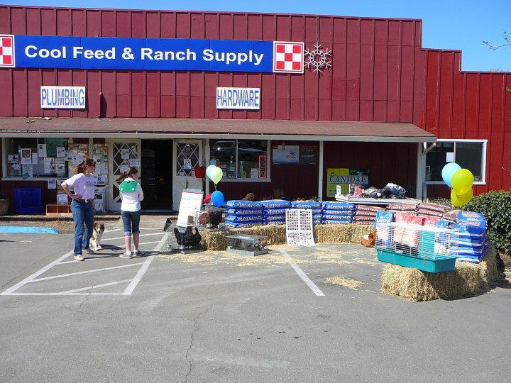 Pet Friendly Cool Feed & Ranch Supply