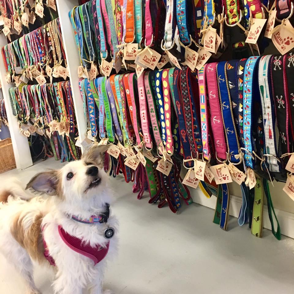 Pet dress best sale shop near me