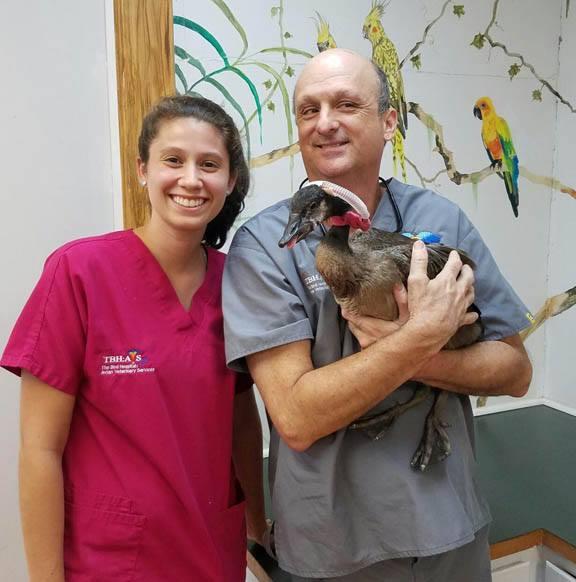 Pet Friendly Avian Veterinary Services Clinic