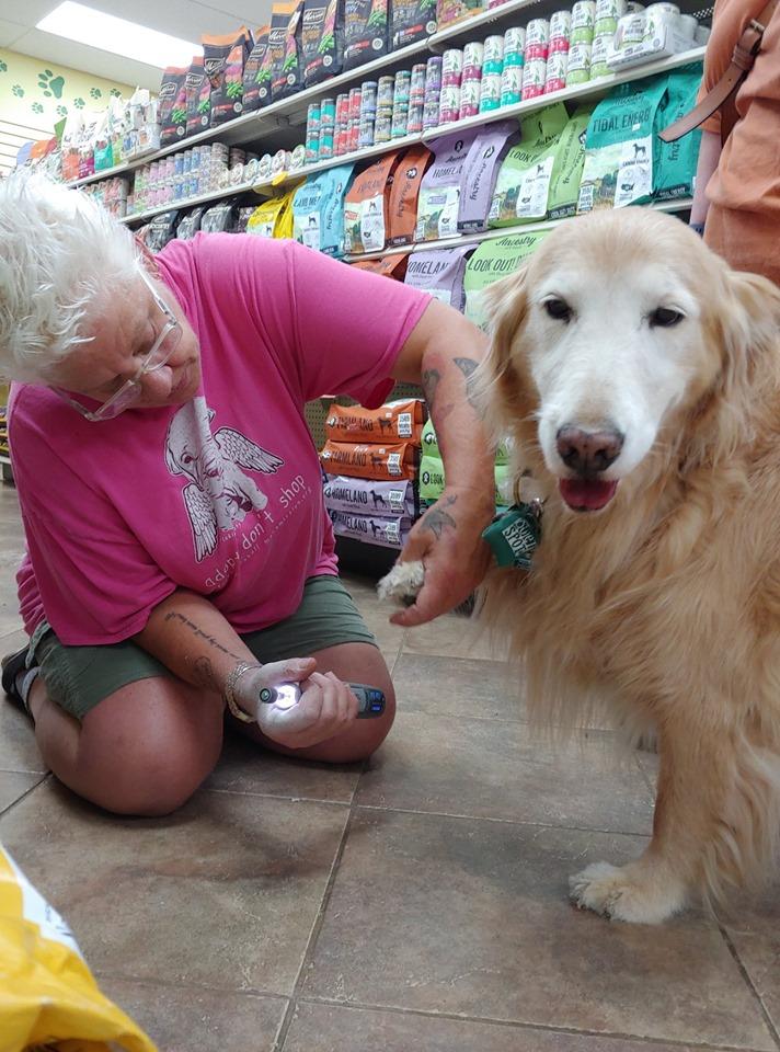 h3 pet supply stratford h3 pet supply stratford