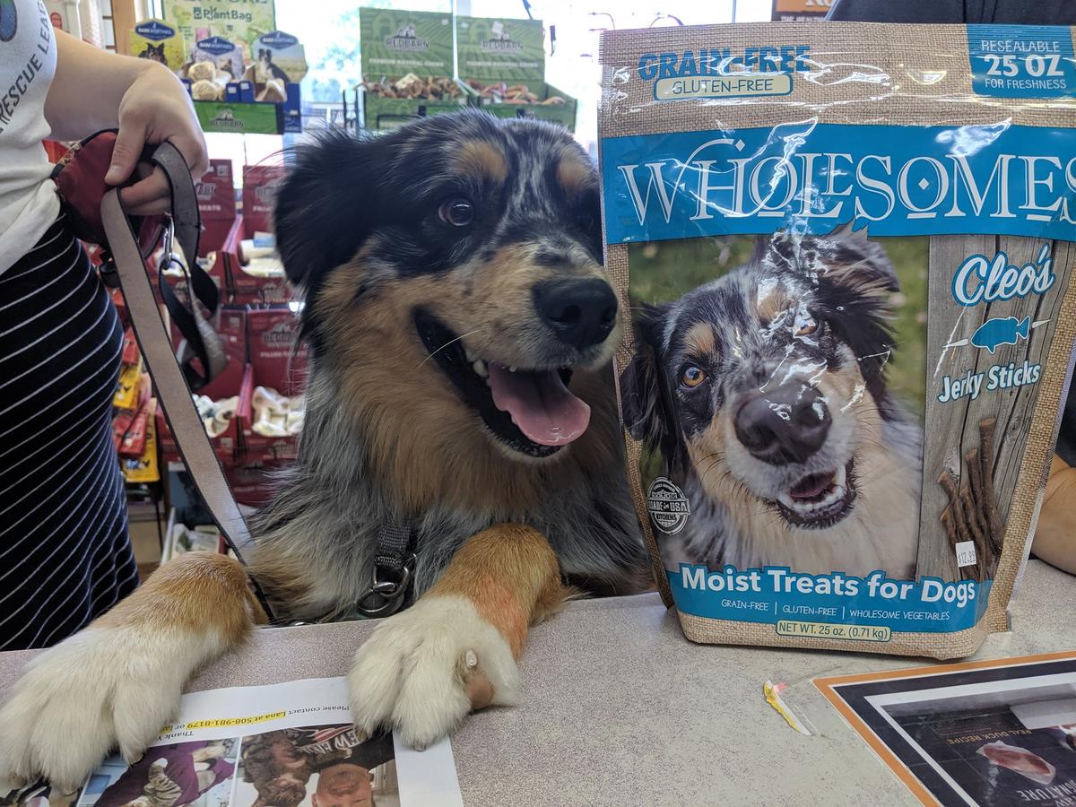 pet barn dog treats