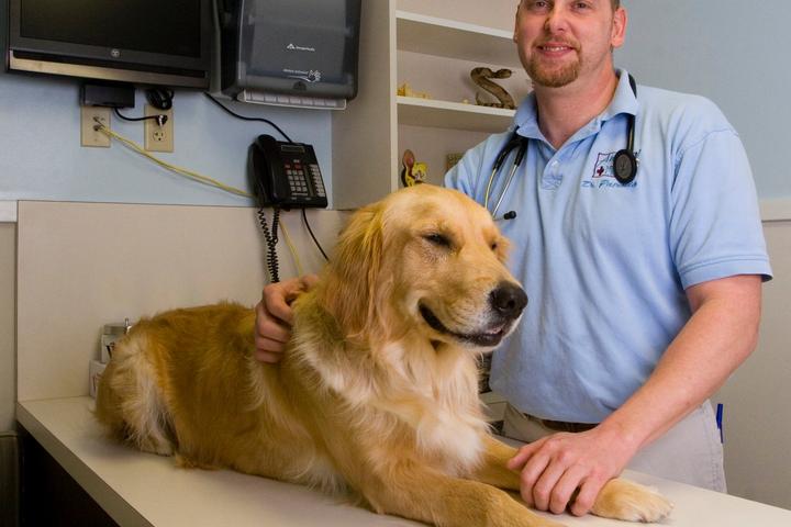 Pet Friendly Animal Medical Center Of Hattiesburg
