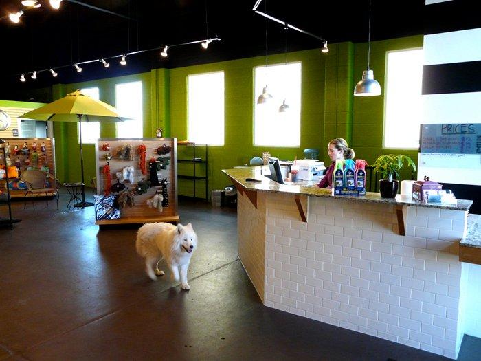 Paw Paw s Self Serve Dog Wash Boutique