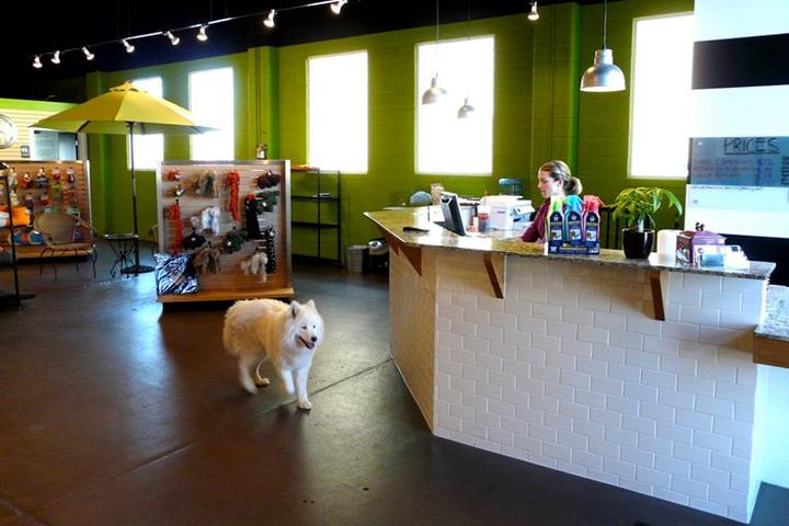 Pet Friendly Paw Paw's Self Serve Dog Wash & Boutique