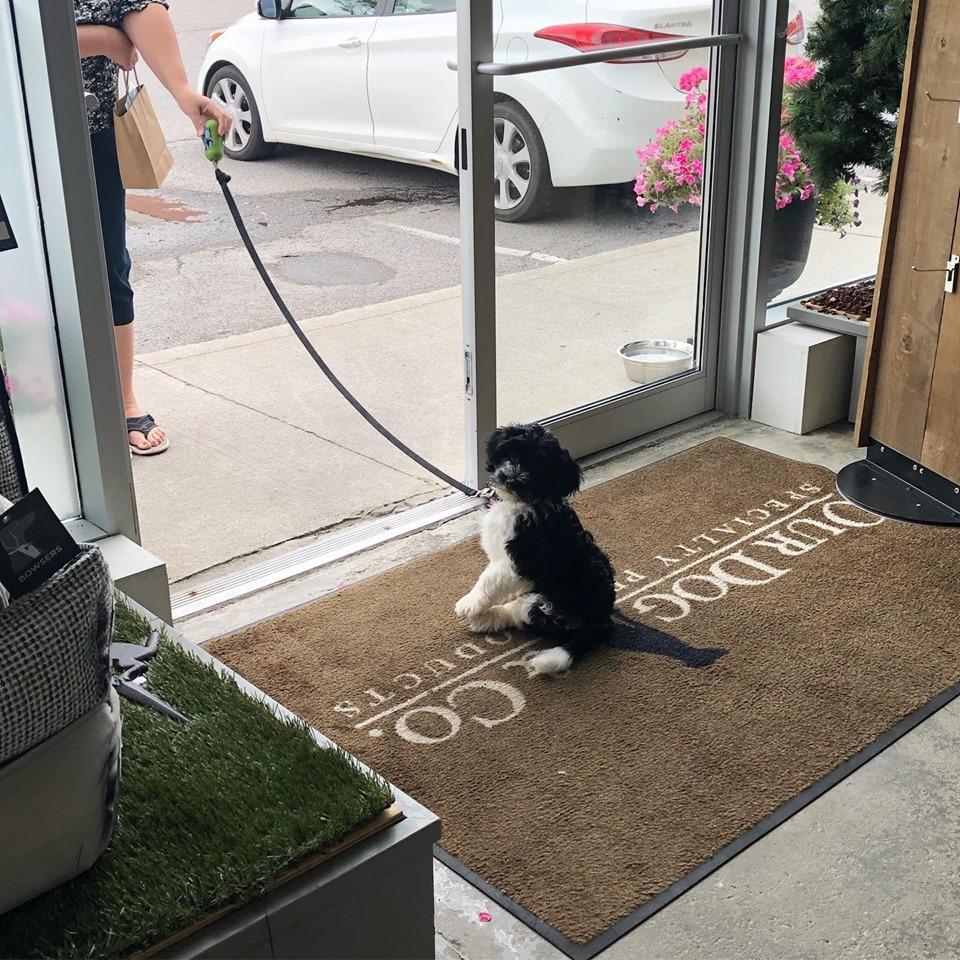 Pet Friendly Our Dog & Company
