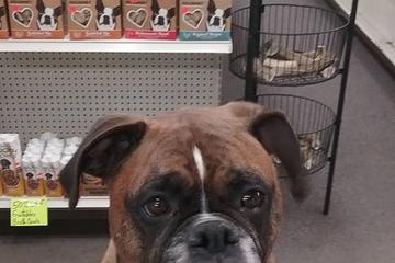 Our Store Noah S Ark Pet Shop