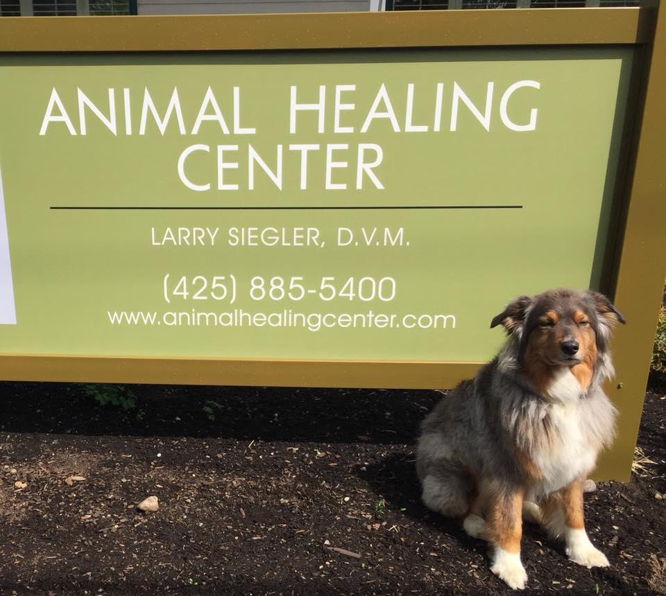 Pet Friendly Animal Healing Center