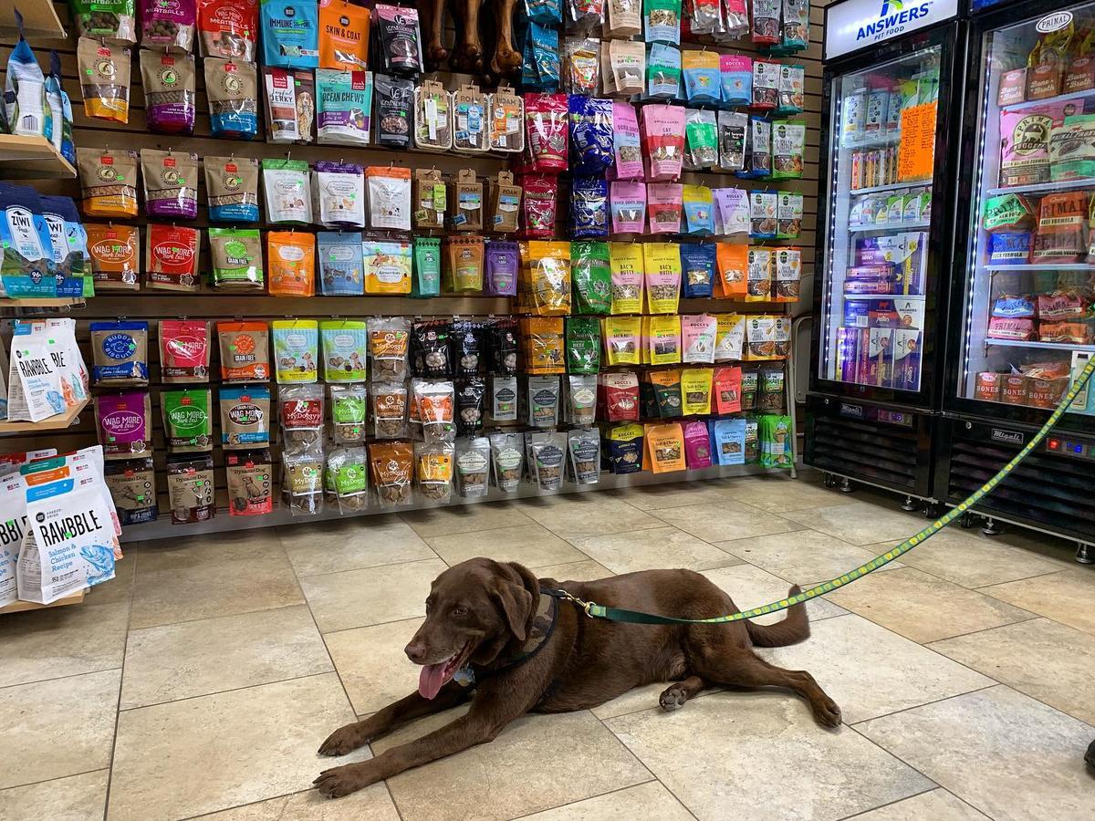 Directory of Pet Stores in Staten Island NY BringFido