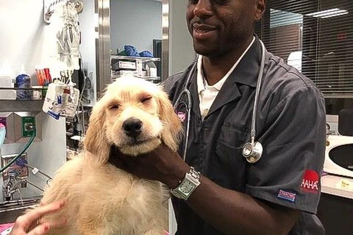 Pet Friendly The Village Vets of Buckhead